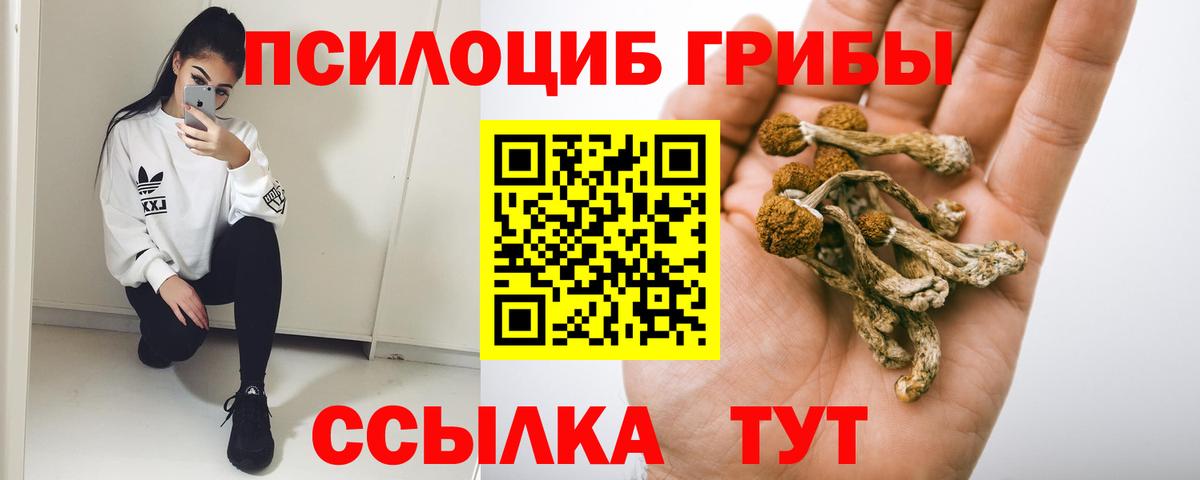 Псилоцибиновые грибы ЛСД Шали